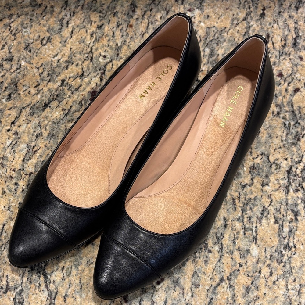 Cole Haan Black Leather Pumps Pointed Toe Block Heel Classic Work Shoes Sz 6.5